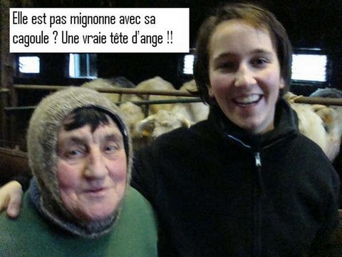 humour pauline